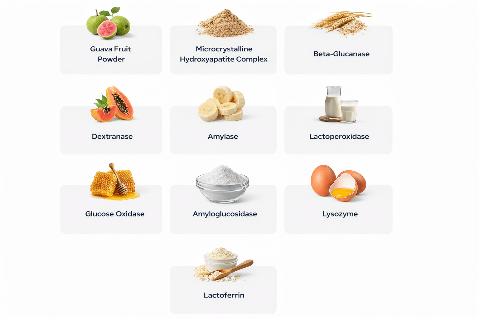 synadentix ingredients