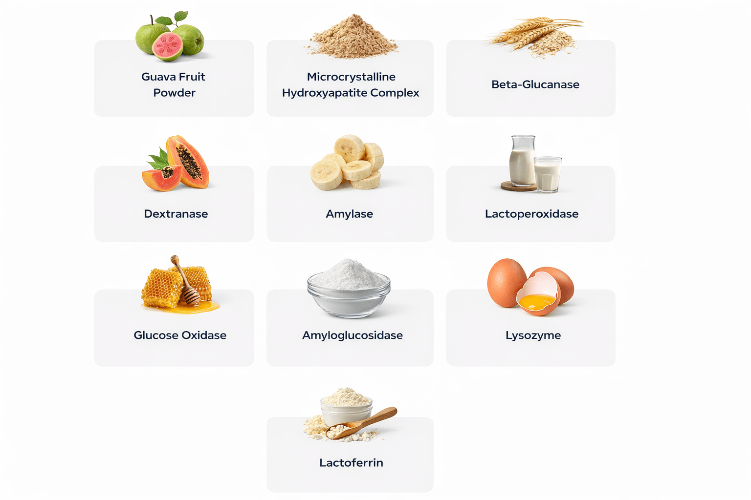 Synadentix natural ingredients — enzyme complex for oral health