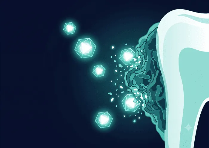 Enzyme molecules dismantling dental biofilm — step 1 of Synadentix action