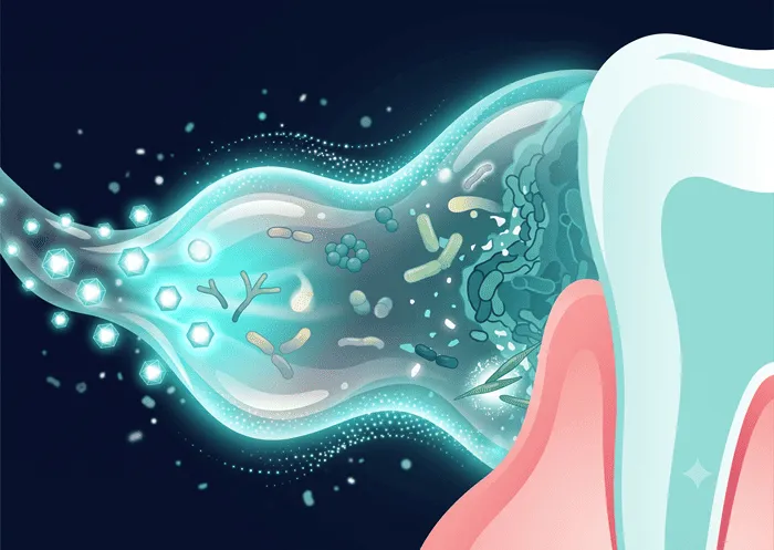 Salivary enzymes activating — antimicrobial defense system illustration